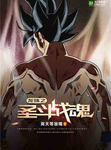 Dragon Ball Saint Fighting Soul
