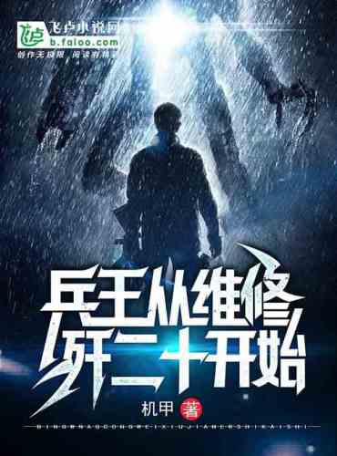 The Air Force started with the repair of fighters